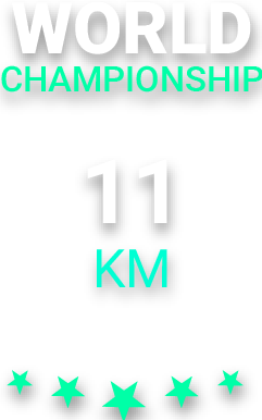 11km